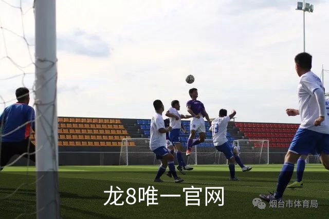 龙8唯一官网公司介绍图片